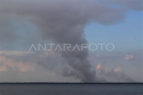 ASAP KEBAKARAN HUTAN DI PULAU RUPAT | ANTARA Foto