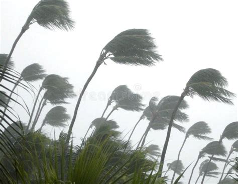 Tropical Storm Stock Photo - Image: 25715610