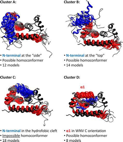 Flavivirus C proteins tertiary structure predictions, organized into ...