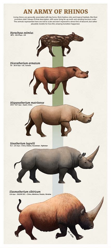 An Army of Rhinos by Julio Lacerda | Prehistoric animals, Prehistoric ...