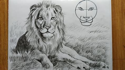 Lion Pencil Drawing Outline