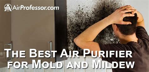 What Is The Best Air Purifier For Mold & Mildew? [5 Picks]