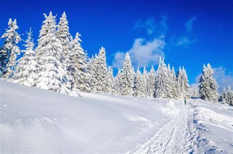 Winter Hiking Trail in Mountains with Snow Stock Photo - Image of cold ...