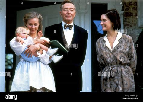 BABY'S DAY OUT (1994) ADAM ROBERT WORTON, JACOB JOSEPH WORTON Stock Photo: 29242151 - Alamy