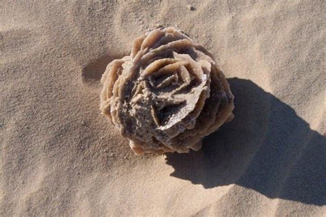 Desert Rose, formed from sand crystals. Beautiful!! | Natural phenomena ...