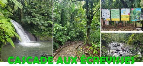 Guadeloupe – Cascade aux écrevisses (Crayfish waterfalls) – Simple ...