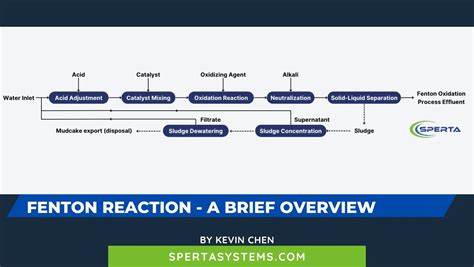 Fenton Reaction: A Brief Overview - SPERTA MEMBRANE