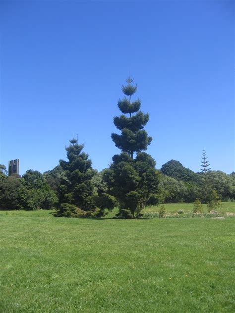 Auckland Botanic Gardens