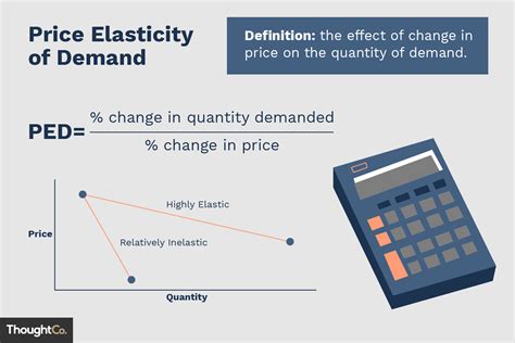 Elasticity Of Demand Equation Calculator - Tessshebaylo