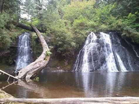 Hiking in Seattle: 10 Hiking Trails in Seattle You Must Know