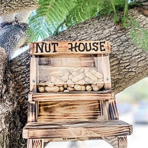 The Original Squirrel Nut House Feeder - Etsy