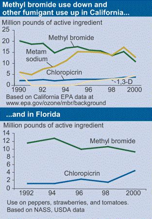 USDA ERS - Methyl Bromide Phaseout Proceeds