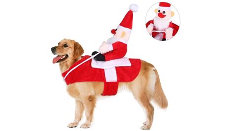 Dog Costumes For Christmas | ubicaciondepersonas.cdmx.gob.mx