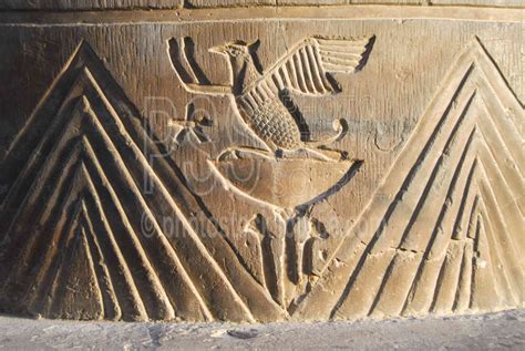 Photo of Hieroglyphics of Bird by Photo Stock Source temple, Nile River, Kom Ombo, Egypt ...