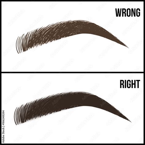 Eyebrows design. Set of well-groomed and shaggy eyebrows. Wrong and ...