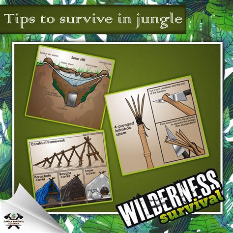 Tips For #Survival in #Jungle. | Survival skills, Survival courses, Survival