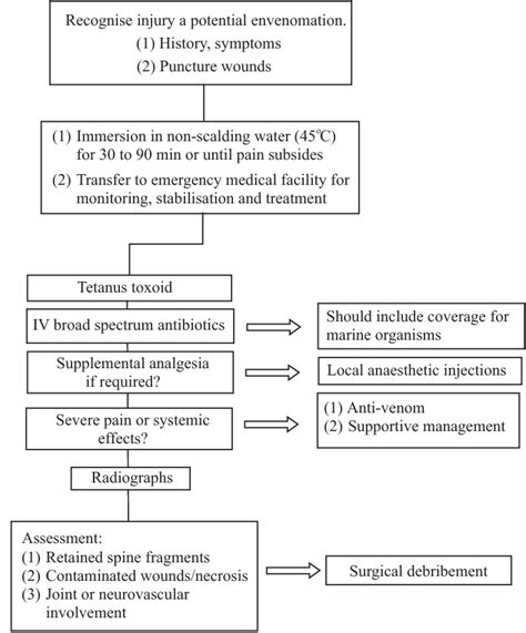 A suggested management algorithm for the treatment of stonefish... | Download Scientific Diagram