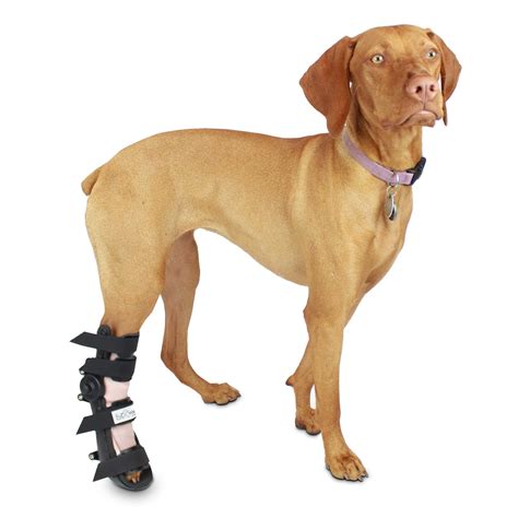 Walkin' Fit® Adjustable Dog Splint | Pet Foot Splint Helps Brace Lower Front and Rear Leg ...