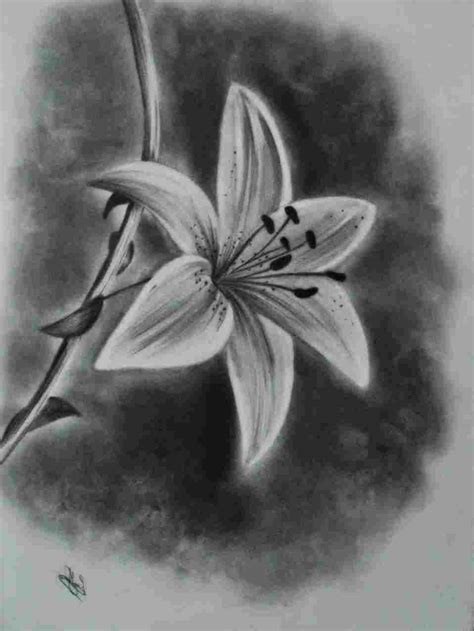 Realistic Flowers Drawing at PaintingValley.com | Explore collection of ...