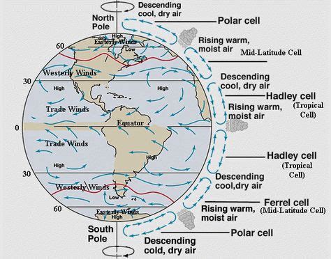 Coriolis Effect | Weather science, Earth, space science, Weather lessons