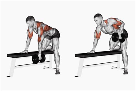 15 Top T-Bar Row Alternative Exercises (With Videos)