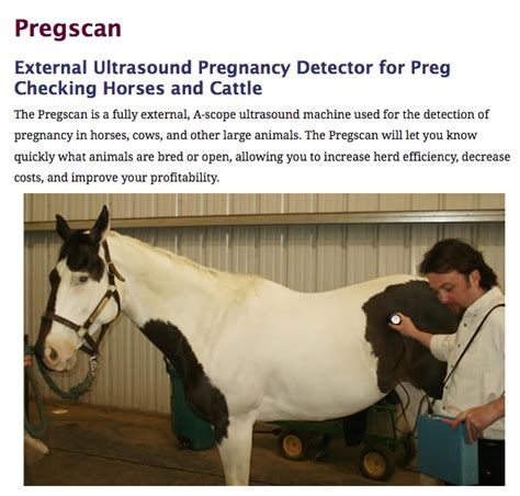 Have you heard of PREGTEST and PREGSCAN? External ultrasound to detect pregnancy? Wow! I need ...