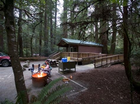 Redwood National Park hosts beautiful cabins to rent at a great price