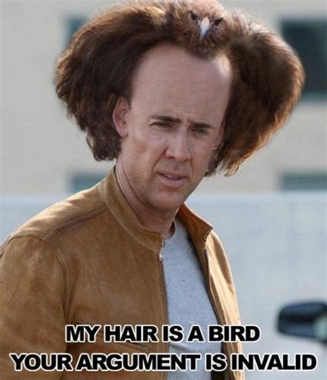 Nic Cage Memes: The Definitive Guide | HuffPost