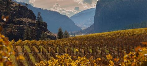 Fall in Penticton & Wine Country VisitPenticton.com is a great way to learn more about after the ...