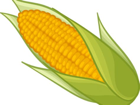 corn clipart transparent background 10 free Cliparts | Download images on Clipground 2024