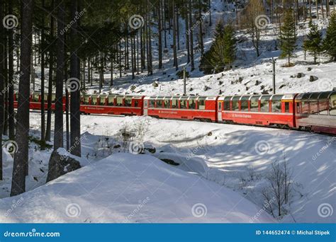 Typical Red Bernina Express Train Riding Down the Bernina Pass through the Forest Editorial ...