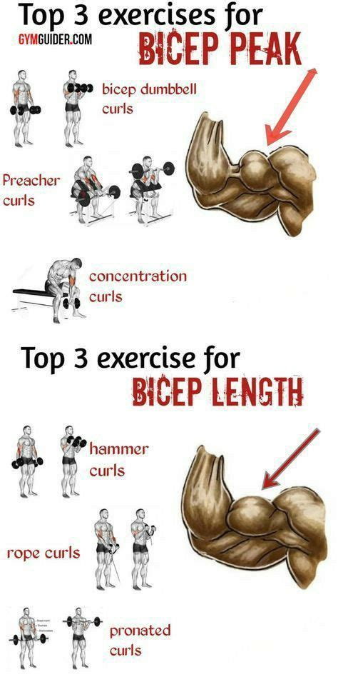 Bicep workout | Biceps workout, Triceps workout, Arm workout