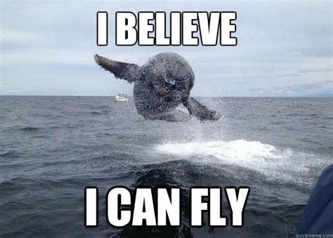 16 Whale Memes That Will Make You Laugh All Day | Whale, Whale funny, Funny animals
