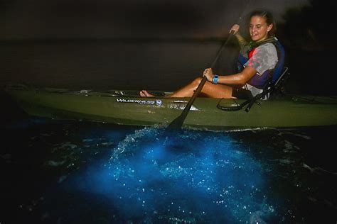 Dinoflagellate Bioluminescence Kayak Tour | A Day Kayak Tours