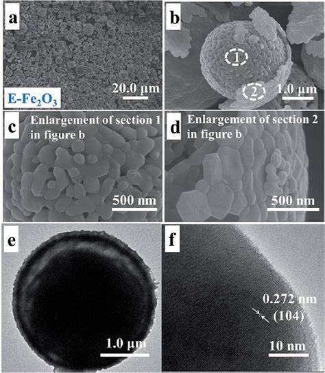 Low-magnification SEM images (a and b), high-magnification SEM images ...