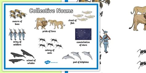 Collective Nouns for Animals Poster | Twinkl - Twinkl