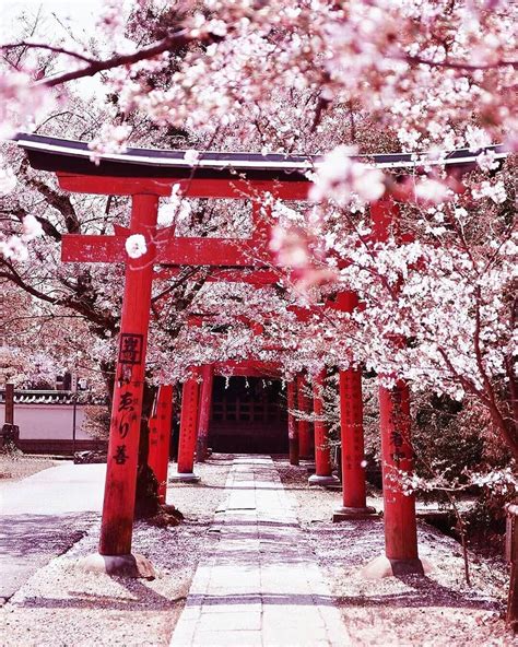 sakura🌸 japan. April. | Japon paysage, Paysage asiatique, Japon