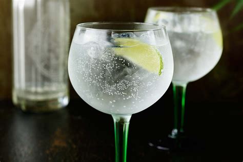 How To Make The Perfect Gin and Tonic - ILoveGin.com