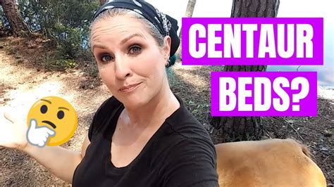 How Do Centaurs Sleep? - YouTube