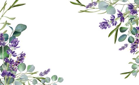 Lavender Flower Border Design