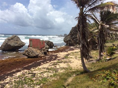 Bathsheba Beach, Bathsheba holiday rentals: houses & more | Vrbo