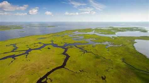 Rerouting the Mississippi River could build new land—and save a ...