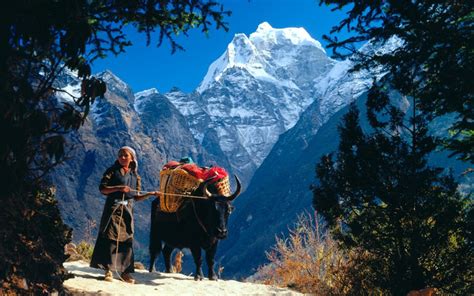 Everest culture Trek