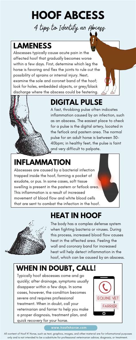 How To Draw Out A Hoof Abscess