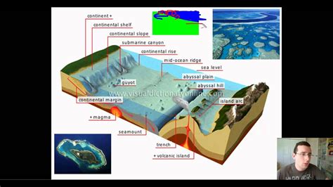 What Are The Main Features Of Ocean Floor | Viewfloor.co