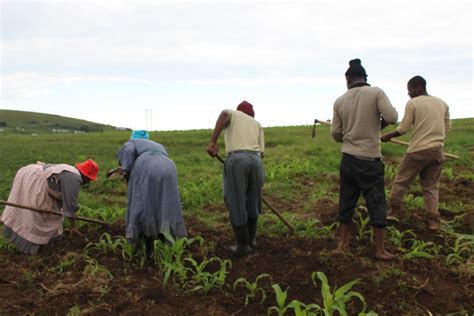 Building rural sustainability in South Africa: Farming Friction