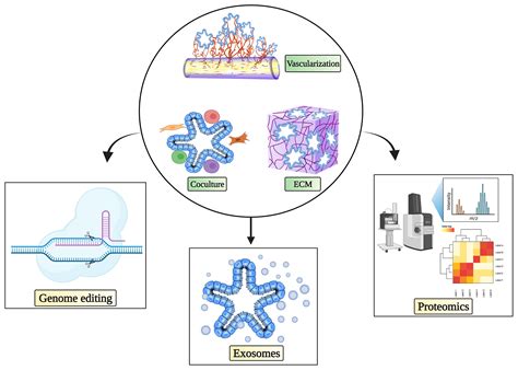 Frontiers | Patient-Derived Tumor Organoids: New Progress and Opportunities to Facilitate ...