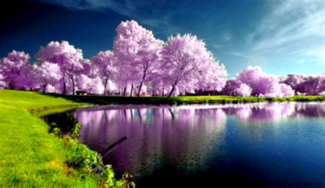 Spring Nature Pictures Wallpaper | Amazing Wallpapers