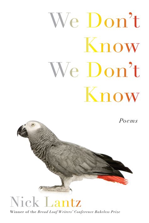 We Don't Know We Don't Know | Graywolf Press