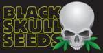 Pepper Jack Haze (de Black Skull Seeds) :: Info de Variedad